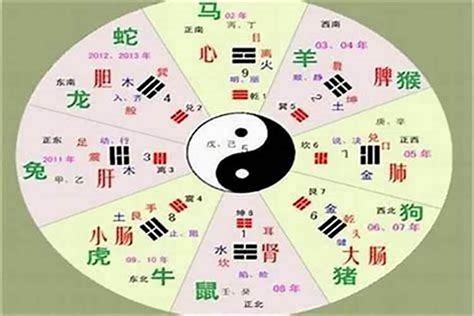 福字五行|五行汉字属性查询